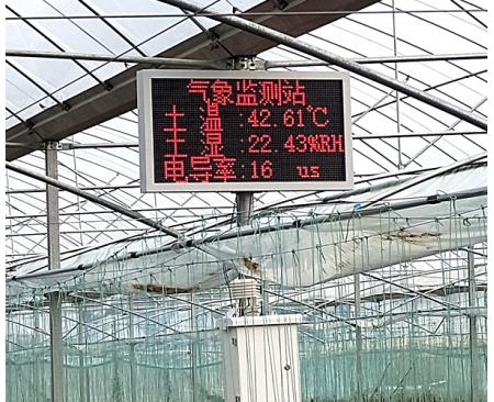 農(nóng)業(yè)大棚園區(qū)氣象監(jiān)測